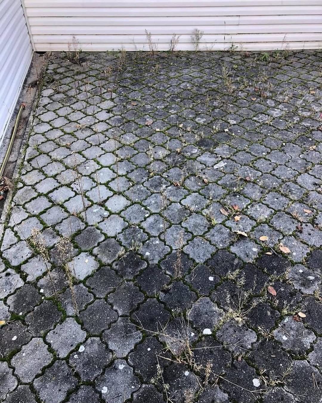 Čistenie dlažby a exteriérov — projekt 4