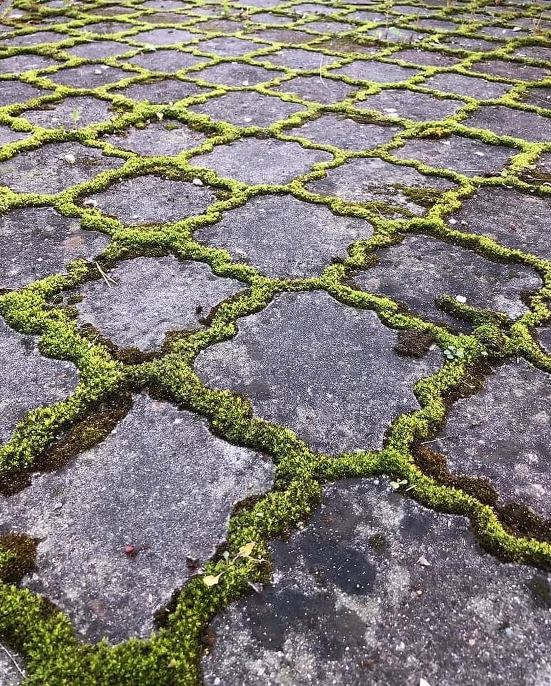 Čistenie dlažby a exteriérov — projekt 1